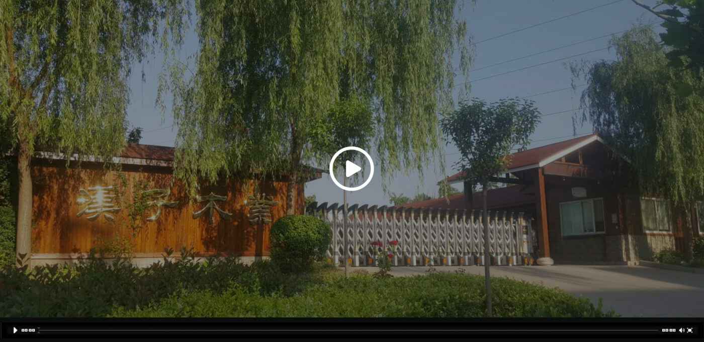 海口黎宇高档实木家具有限公司